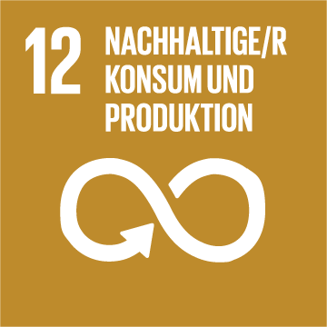 Icon SDG 12